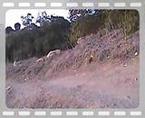 Ministry.mp4 video by centralpointer