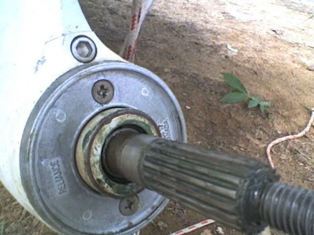 SP_A0367.jpg