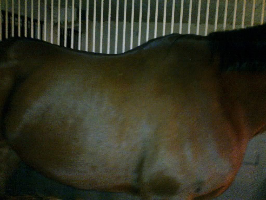 20111128604.jpg