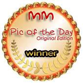 http://i149.photobucket.com/albums/s42/pardimaging/potd_oe.jpg