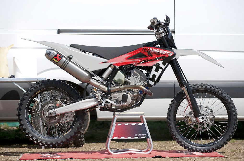 2011husky4.jpg