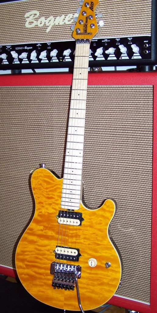 AxisBogner1.jpg