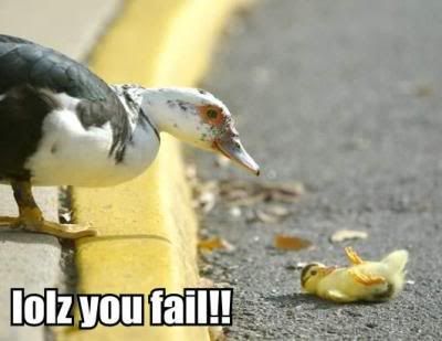 fail funnies. fail funnies. you fail funny picture; you fail funny picture. divakarr