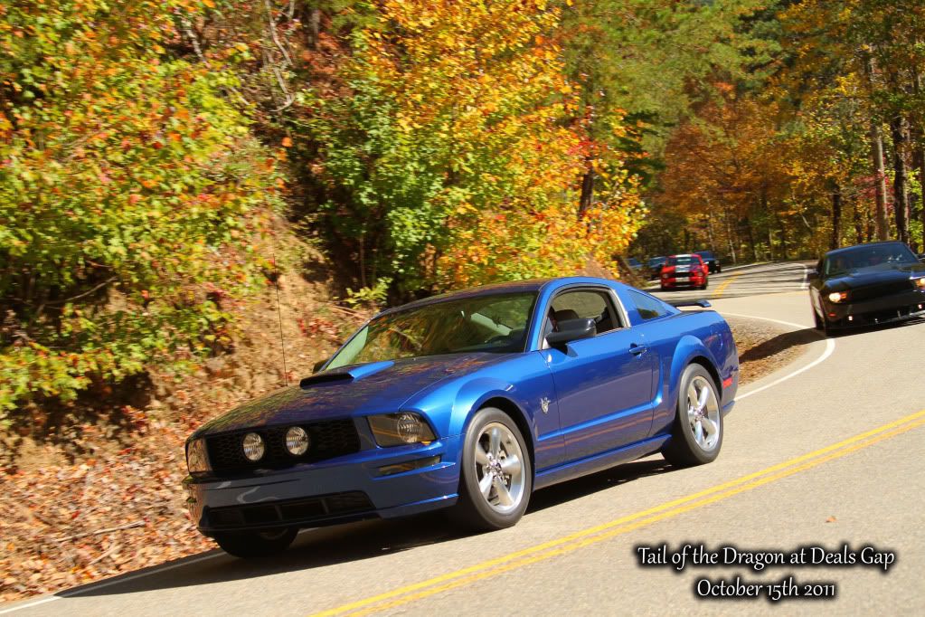 img_4321-text.jpg