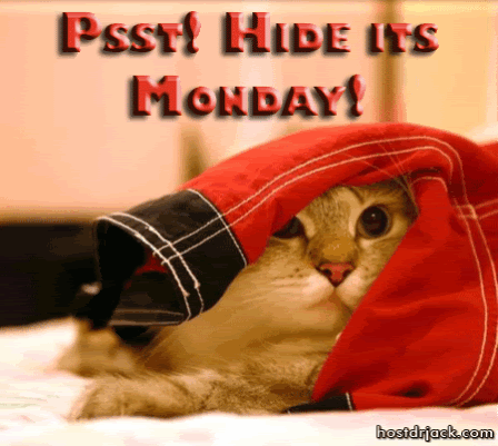 Hide its monday Pictures, Images and Photos