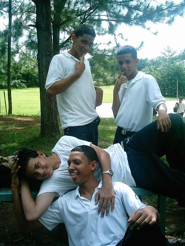 gays Pictures, Images and Photos