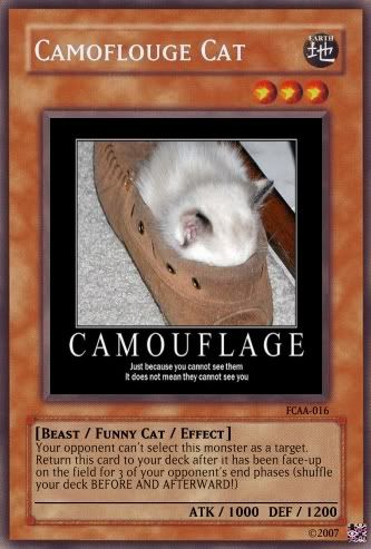 CamoflougeCat.jpg