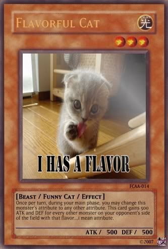FlavorfulCat.jpg