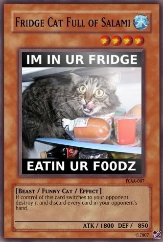 FridgeCatFullofSalami.jpg