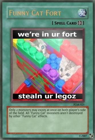 FunnyCatFort.jpg