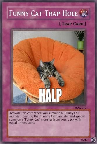FunnyCatTrapHole.jpg