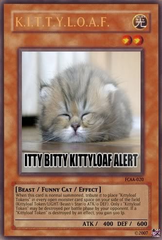 KITTYLOAF.jpg