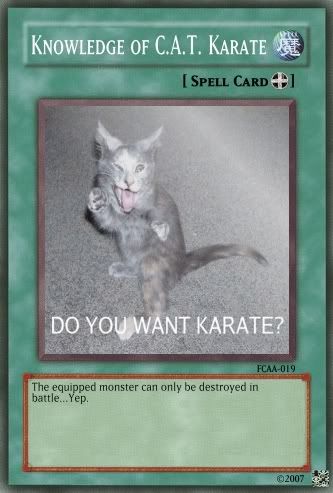 KnowledgeofCAT.Karate.jpg