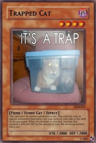 TrappedCat.jpg
