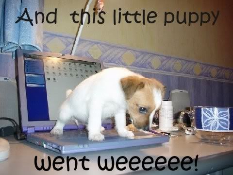 puppy-pee.jpg