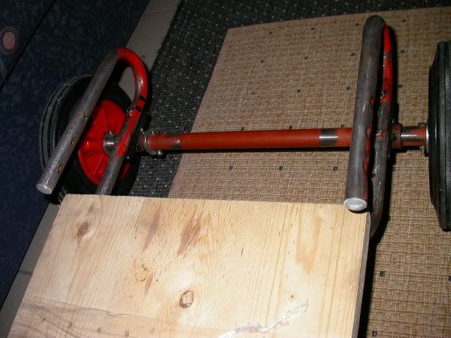 Bild