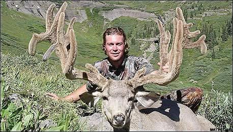 Great Archery Buck