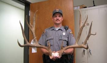Idaho Buck from 2004
