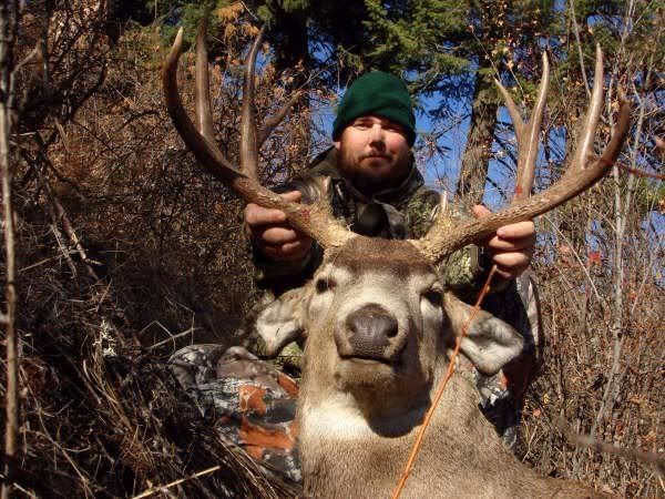 Idaho Mule Deer Buck