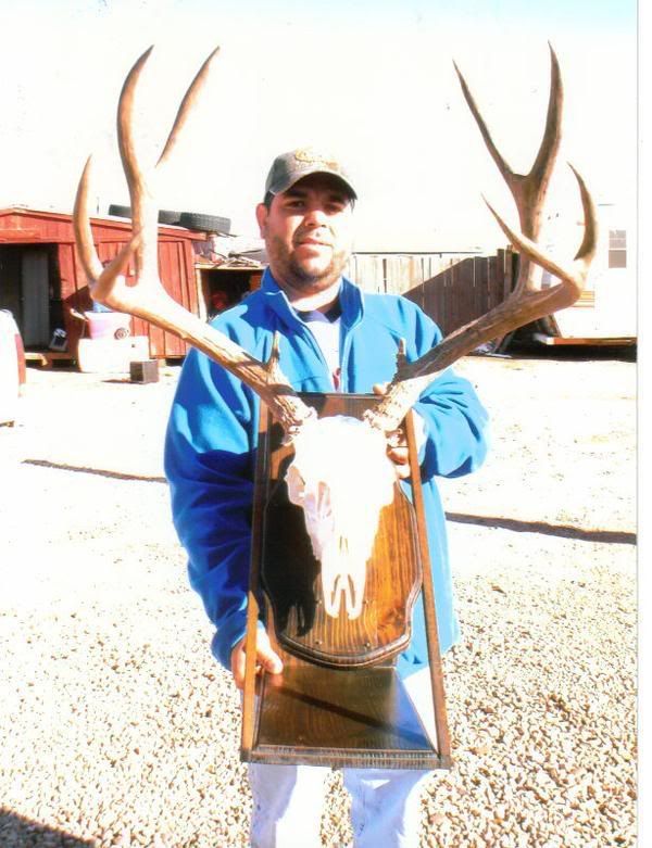 Large Arizona Buck