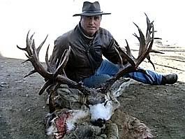 Big Alberta buck