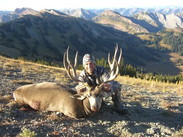 Big Wyoming Muley Buck