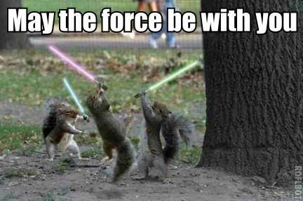 May the Force be with you