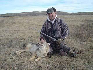 Kill the Coyotes that kill Mule Deer