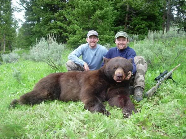 Utah Black bears bad for Mule Deer