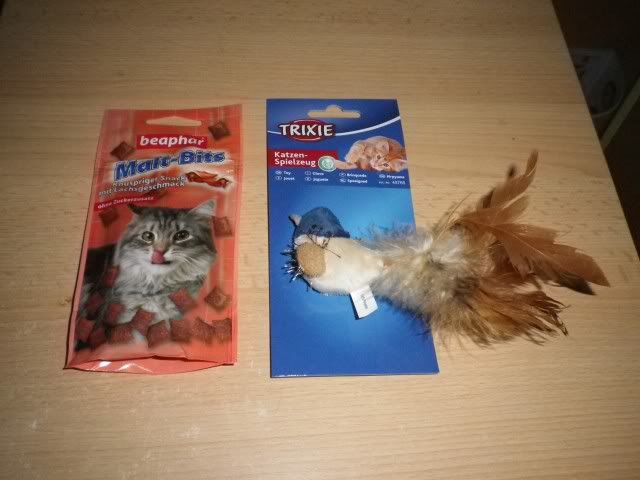 Slika