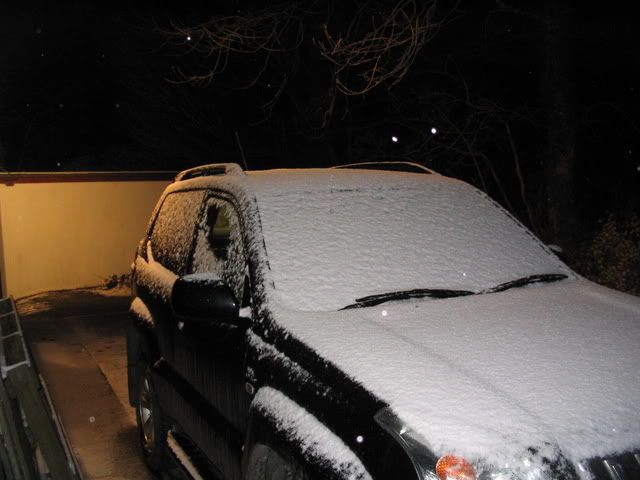 snowapril7th2008007.jpg