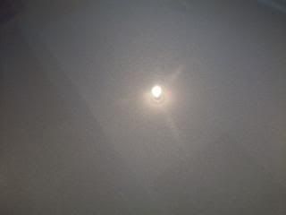 100_2466.jpg