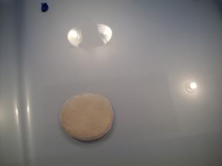 100_2472.jpg