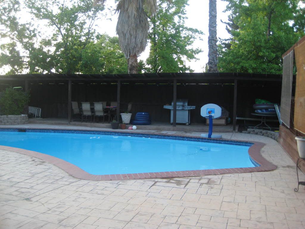 RE: need ideas for pool surronding landscaping