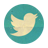  photo twitter-icon.png