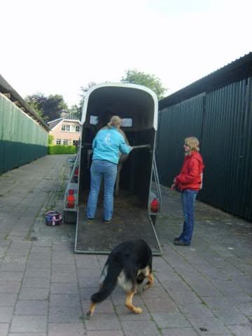 Afbeelding