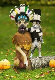 Happy Thanksgiving Pictures, Images and Photos