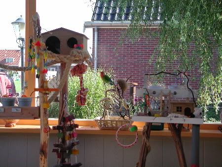 tom en mook 2