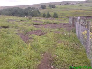DSC00458.jpg