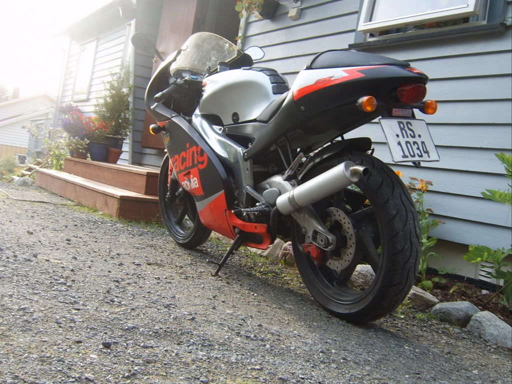 SV500244.jpg