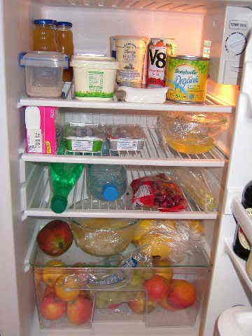 2008_0106Fridge0008.jpg