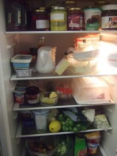 Fridge001.jpg