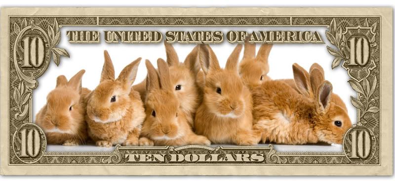 dollar_easterbunnies.jpg dollar easter bunnies image by M_I_C_K_E_Y