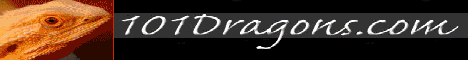 101Dragons