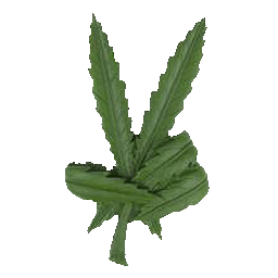 PeacePotLeaf.gif