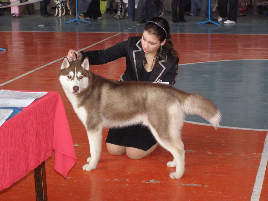 Качена снимка