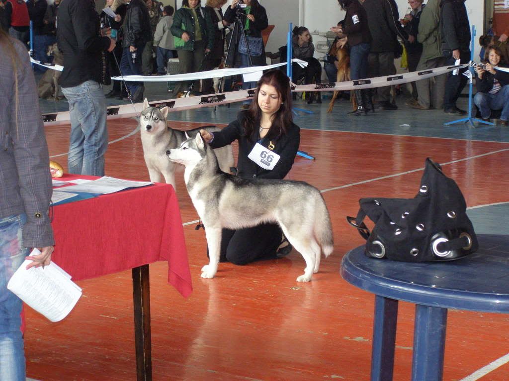 Качена снимка