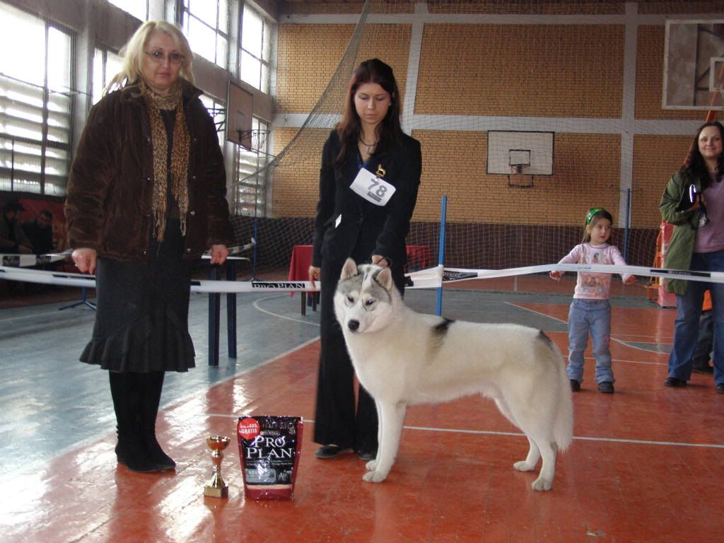 Качена снимка
