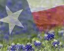texasbluebonnetsandflag.jpg