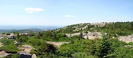 View from Cadillac Mountain